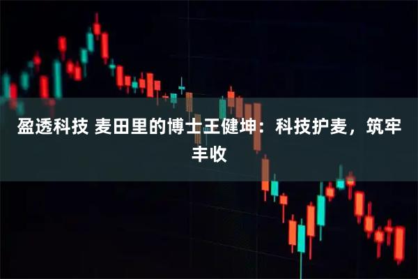 盈透科技 麦田里的博士王健坤：科技护麦，筑牢丰收