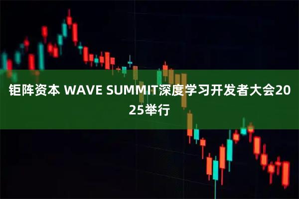 钜阵资本 WAVE SUMMIT深度学习开发者大会2025举行