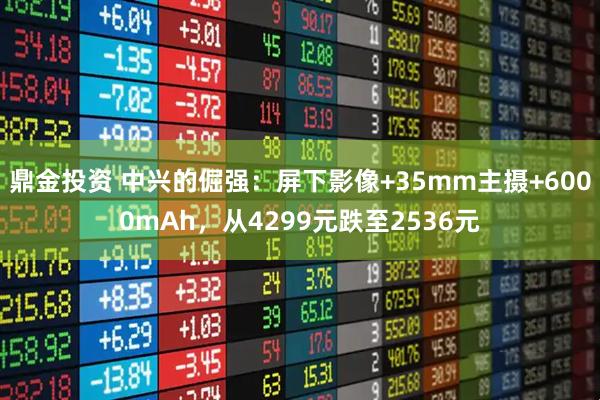 鼎金投资 中兴的倔强：屏下影像+35mm主摄+6000mAh，从4299元跌至2536元