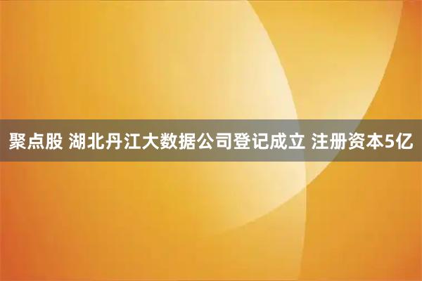 聚点股 湖北丹江大数据公司登记成立 注册资本5亿