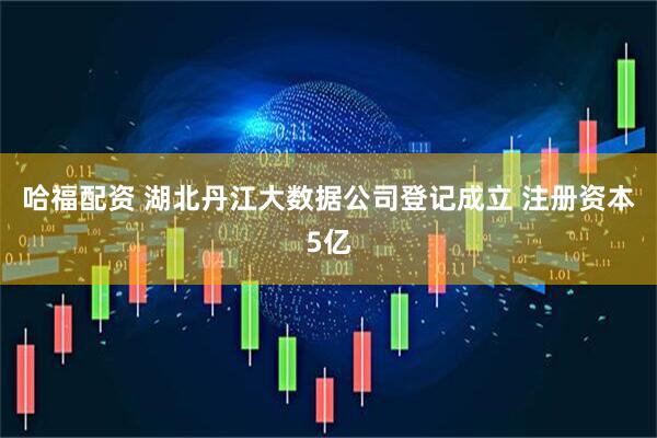 哈福配资 湖北丹江大数据公司登记成立 注册资本5亿