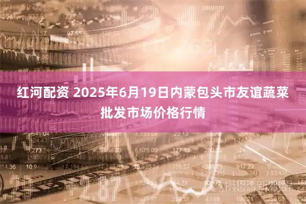 红河配资 2025年6月19日内蒙包头市友谊蔬菜批发市场价格行情
