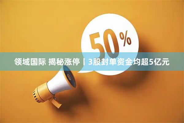 领域国际 揭秘涨停丨3股封单资金均超5亿元